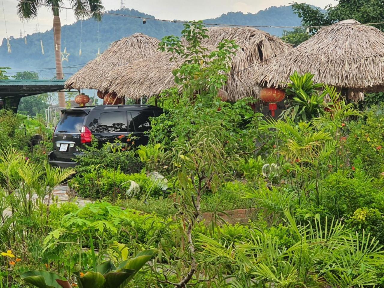 Ha Giang Eco Bungalow Eksteriør billede