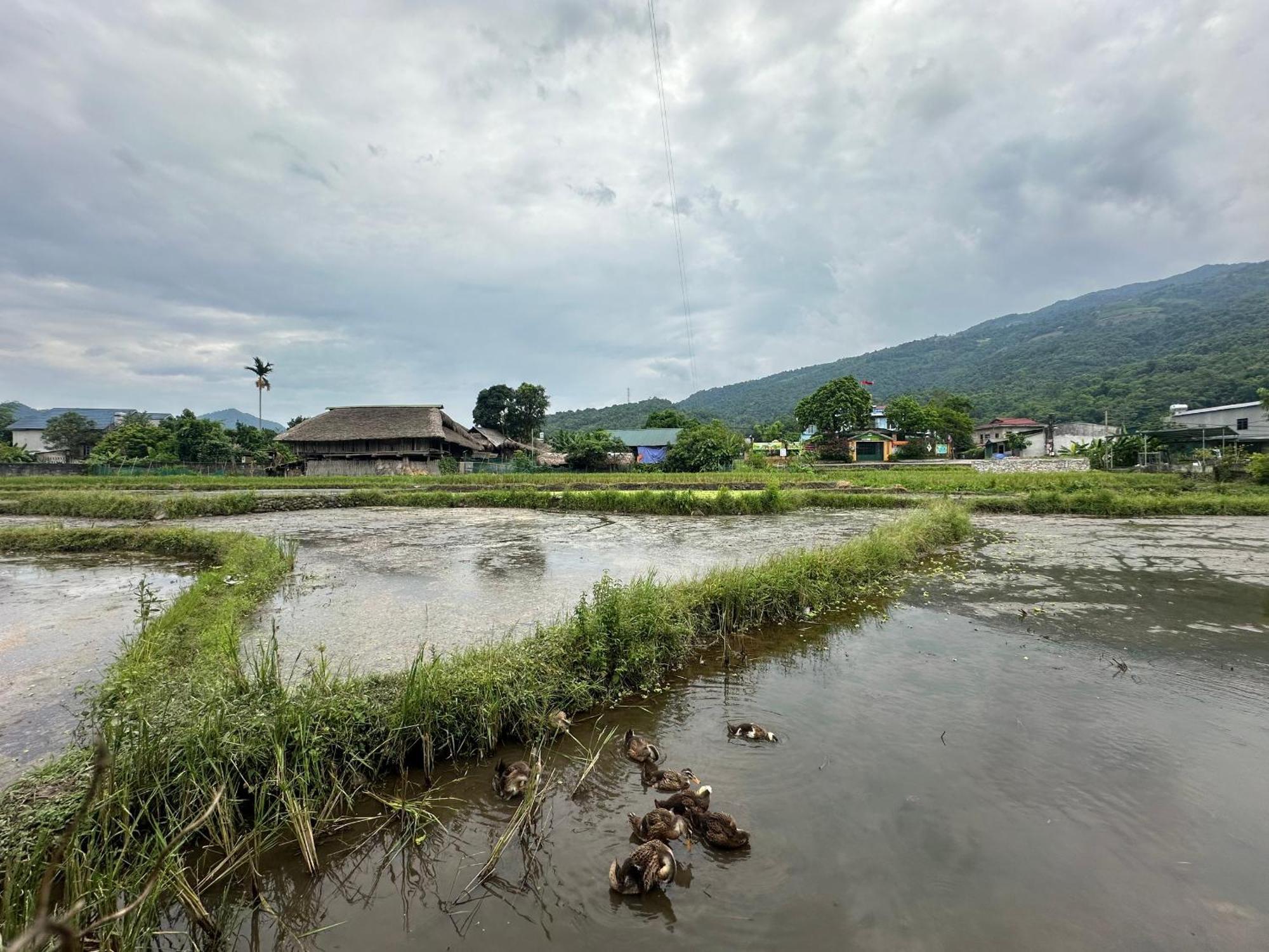 Ha Giang Eco Bungalow Eksteriør billede